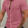 New Cardigan Stand Collar Men's Short-sleeve Shirts