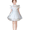 Girls Grey Blue Puffy Princess Dress